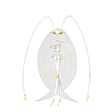 pheromosa